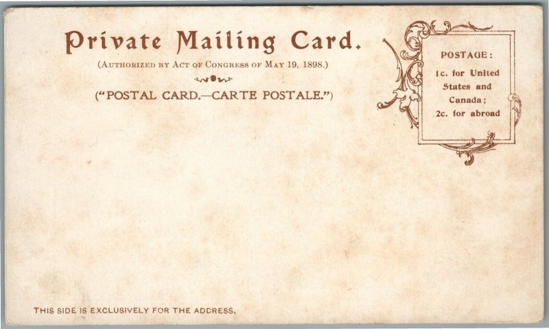 TRENTON NJ SCENES ANTIQUE POSTCARD