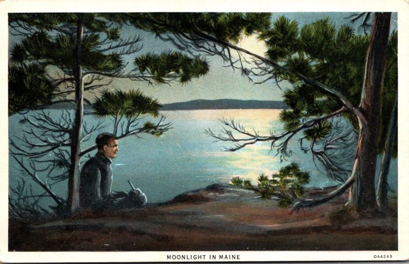 Maine Moonlight Scene Curteich