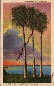 Looking Eastward to the Sea Corpus Christi Bay Christi Texas Postcard PC275