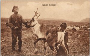 Renkon Mjolkas Reindeer Unused Postcard E83