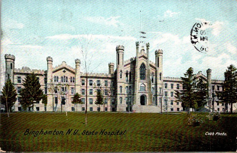 New York Binghamton State Hospital 1908