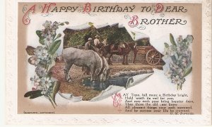 Berthday Greeting. Horses  Bamforth Birthday Ser. PC # 9003/4