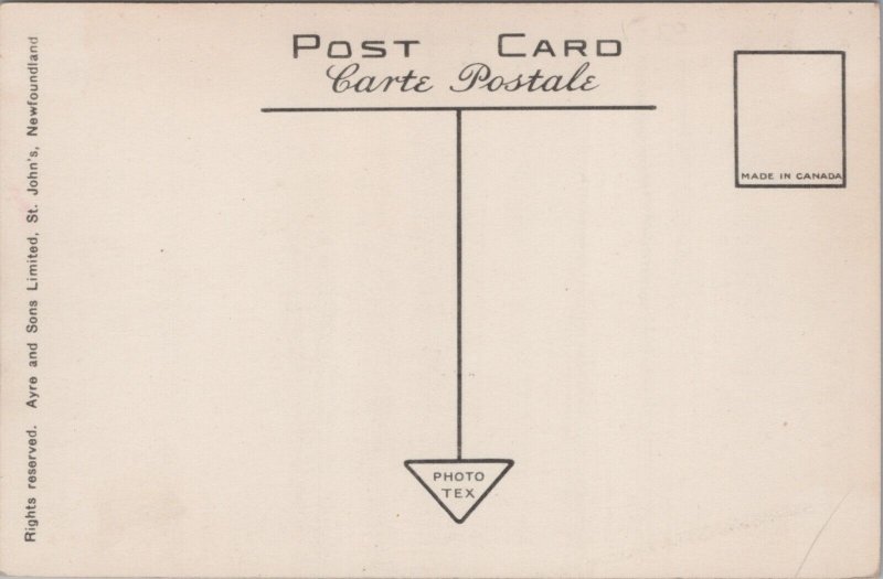 Canada The Narrows St John's Newfoundland Vintage Postcard C042 