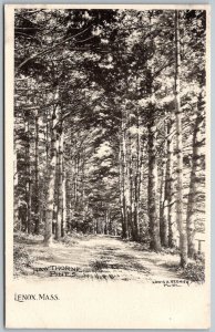 Lenox Massachusetts c1905 Postcard Hathorne Pines
