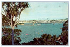 New Zealand Postcard Auckland Harbor c1950's New Zealand Tourist Photo