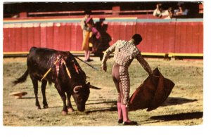 Bullfighting, Toros, Mexico, Used 1965