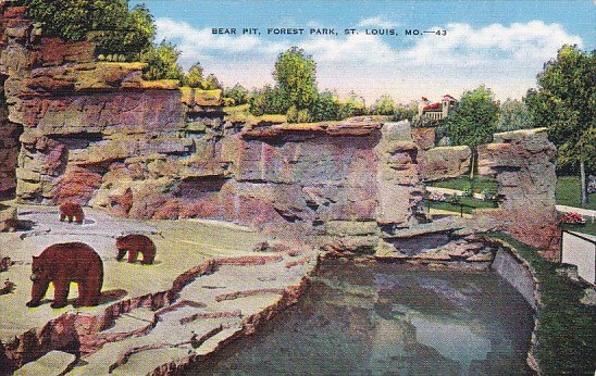 Bear Pit Forest Park St Louis Missouri 1941