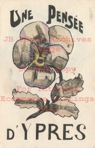 Belgium, Ypres, Pansy Multi-View Scenes