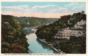 1926 Genesee River Gorge Driving Park Ave. Bridge Rochester New York Postcard