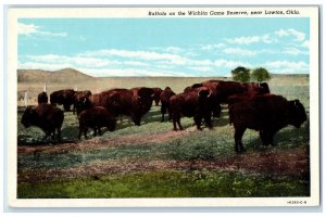 c1930 Animals Buffalo Wichita Game Reserve Lawton Oklahoma OK Unposted Postcard