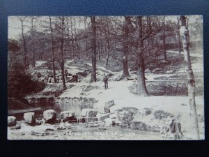 Yorkshire Sheffield ENDCLIFFE WOODS Man & Dog c1913 RP Postcard