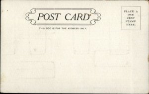 Unadilla NY From Evergreen Hill c1905 Postcard