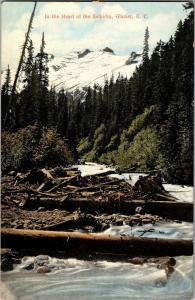 In the Heart of the Selkirks, Glacier British Columbia Vintage Postcard P17