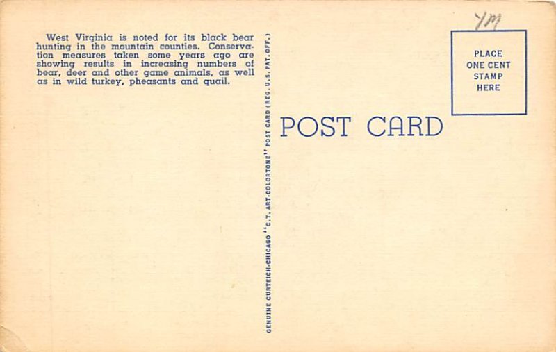 I Can't Bear to Leave I Can't Bear to Leave - Misc, West Virginia WV Postcard