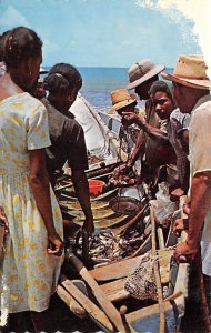 The Sunny Caribbean, Native Fish Market Bahamas Unused wear on front Image