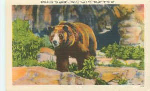 Bear in the Woods Too Busy to Write, Bear With Me Linen  Postcard Unused