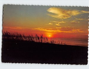 Postcard Magnificent Sunset Over Chesapeake Bay Virginia Beach Virginia USA