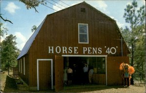 Ashville Alabama Horse Pens 40 Museum Stone Sculpt 1950-60s Vintage Postcard