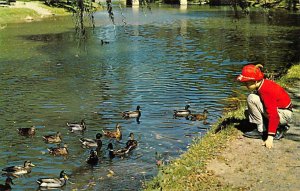 Feeding Ducks at Little Lehigh Creek Allentown, Pennsylvania PA s 