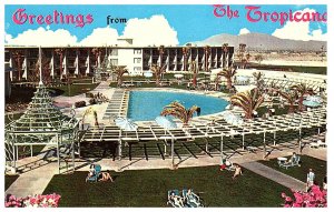 Greetings from The Tropicana Pool View  Las Vegas Nevada Hotel Postcard