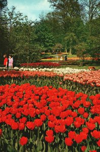 Postcard Keukenhof Botanical Flower Garden of Europe Lisse Holland Netherlands