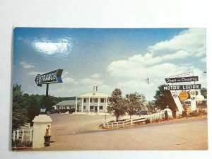 Vintage Postcard Town & Country Motor Lodge Featured Esquire Charlottesville VA