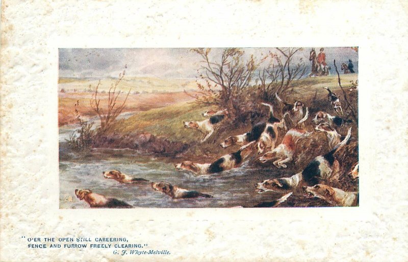 Postcard Animals nature dogs hunt