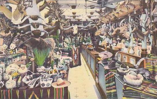 Texas San Antonio Buckhorn Curio Museum Interior