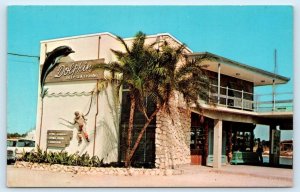 TARPON SPRINGS, Florida FL ~ Roadside DOLPHIN CURIO SHOP 1950s-60s Postcard