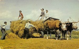 Hay Making Nova Scotia Farming 1968 