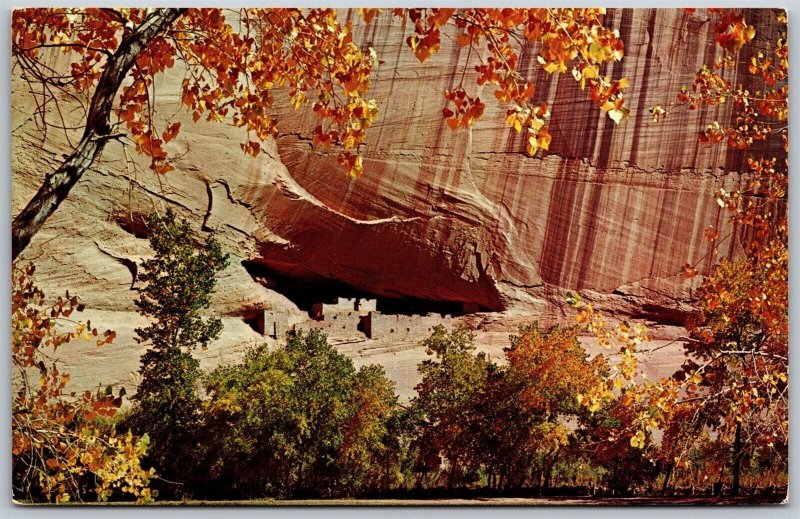 Vtg Chinle Arizona AZ White House Ruin Canyon De Chelly Monument View Postcard