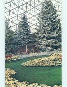 Pre-1980 CHRISTMAS TREES THAT CONSERVATORY Milwaukee Wisconsin WI AD3741