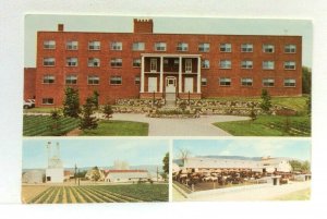 Wallkill New York Watchtower Farm Multiview Postcard