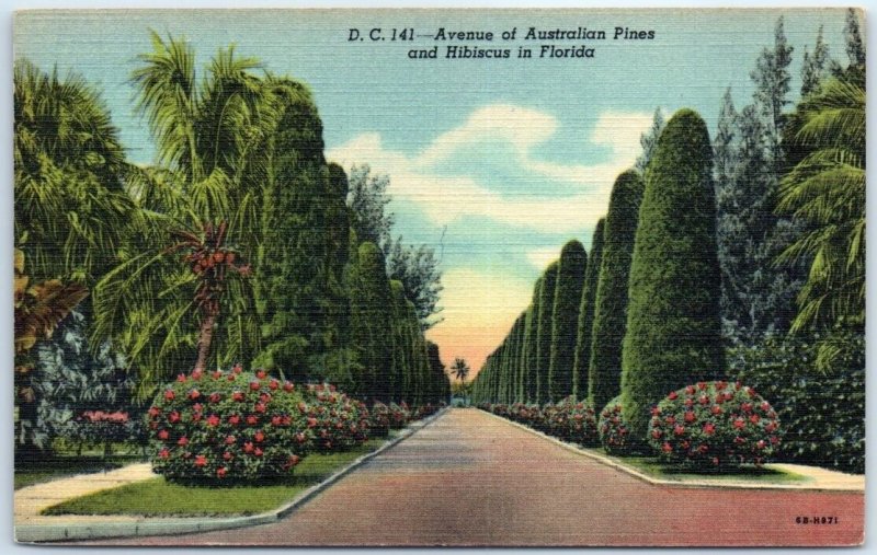 M-80756 Avenue of Australian Pines and Hibiscus in Florida