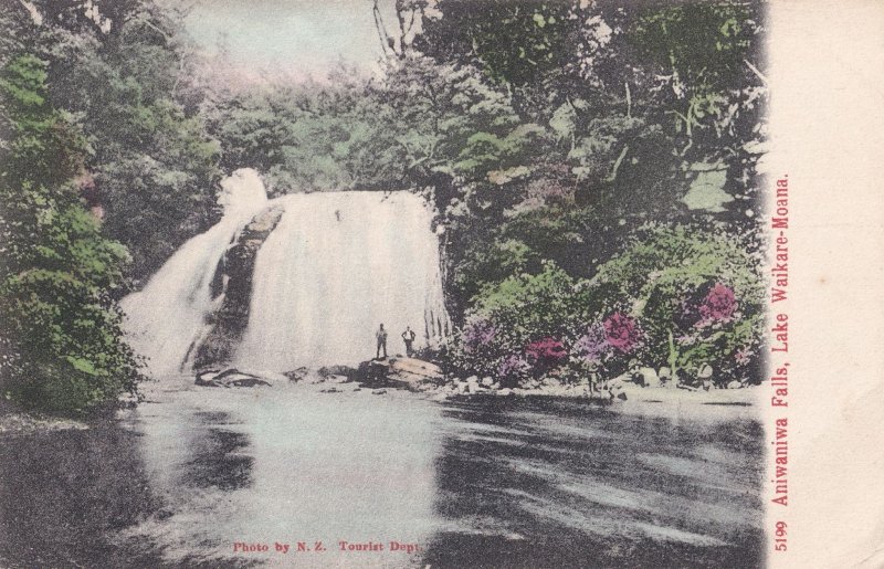 Aniwaniwa Falls New Zealand Tourist Dept Old Postcard