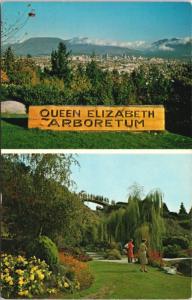 Queen Elizabeth Park Arboretum Vancouver BC Quarry Gardens Unused Postcard D63 