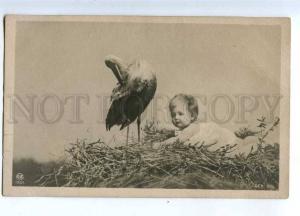 234115 Lovelys BABY in STORK Nest Vintage PHOTO NPG 1901 PC