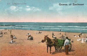 VINTAGE POSTCARD GREETINGS FROM ZANDVOORT PEOPLE & HORSE SCENE BEACH NETHERLANDS