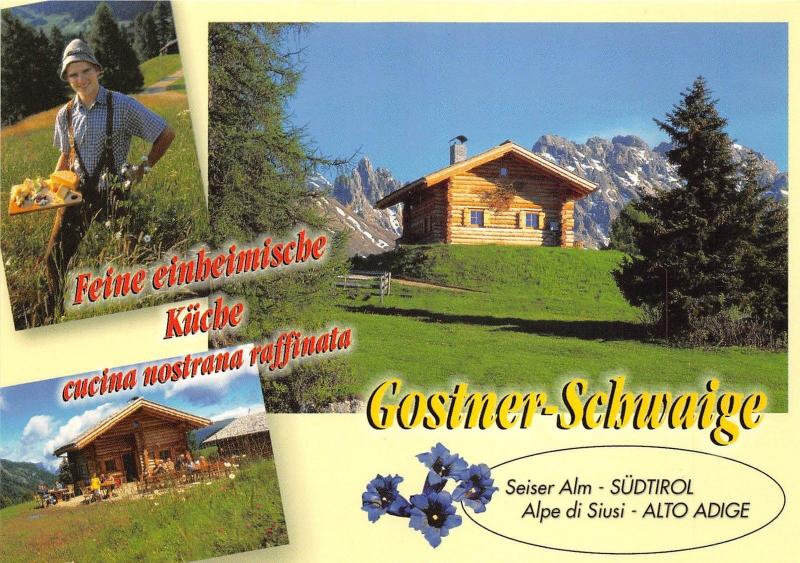 BG28028 malga gostner schwaige   seiser alm alpe di siusi dolomiti  italy