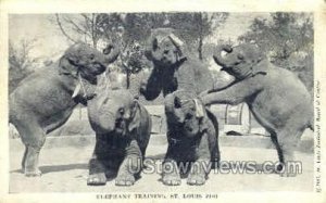 St. Louis Zoo, Elephants in St. Louis, Missouri