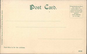 Brandon Vermont VT Hotel c1910s Postcard