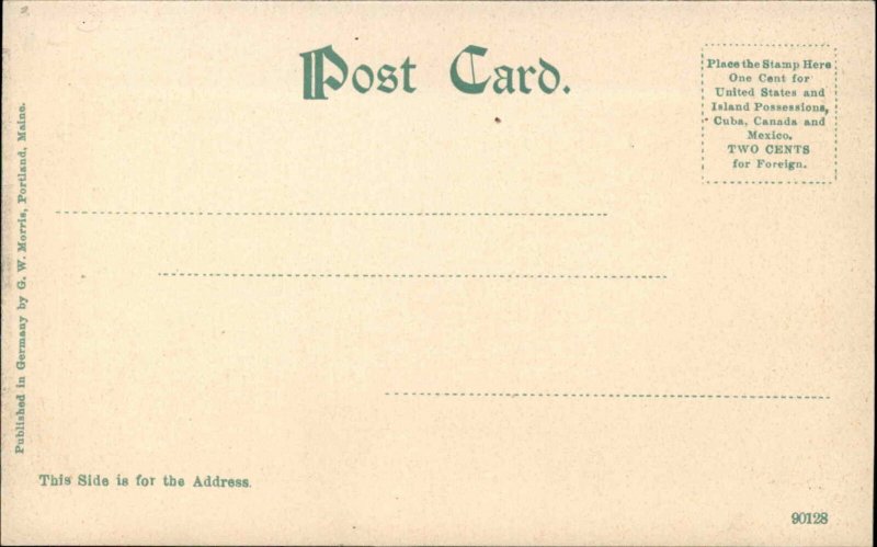 Brandon Vermont VT Hotel c1910s Postcard