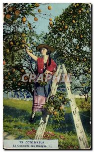 Old Postcard Cote D Azur Picking Oranges Folklore Costume