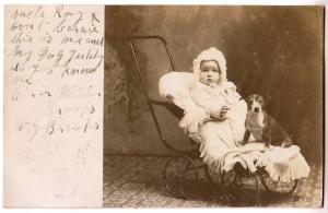 RPPC, Child in Stroller with Dog