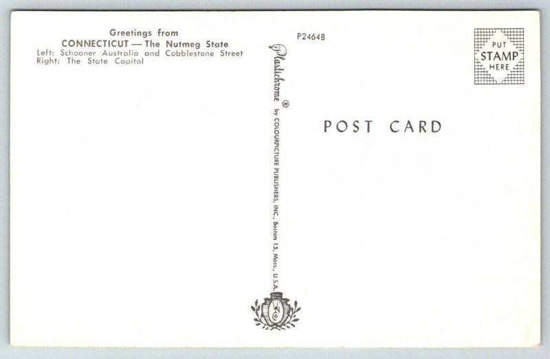 Greetings From  Connecticut  The Nutmeg State  Postcard