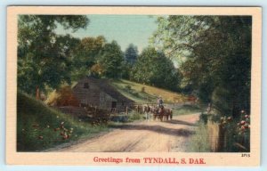 Greetings from TYNDALL, South Dakota SD ~ ca 1940s Bon Homme County Postcard