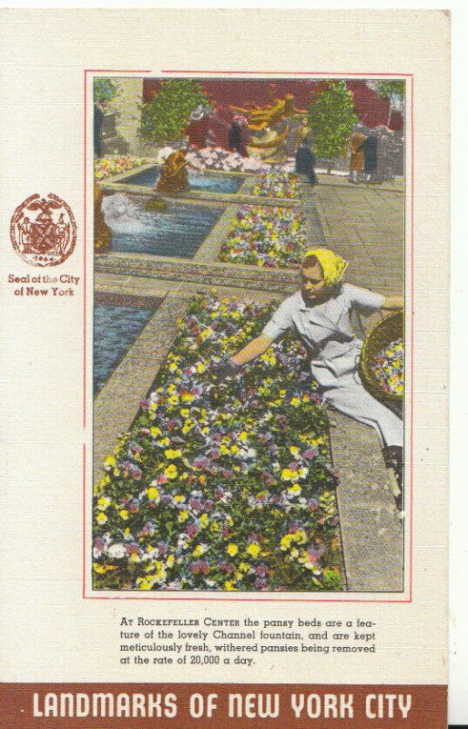 America Postcard - Rockefeller Centre - Pansy Beds - New York City - Ref 17900A