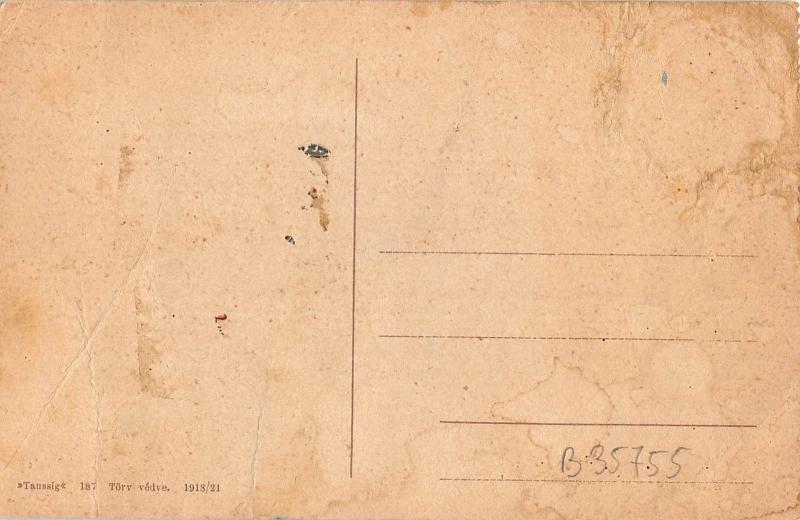 B35755 Budapest vue totale bent   hungary