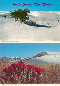 (2 cards) White Sands National Monument NM, New Mexico - Trees and Flowers