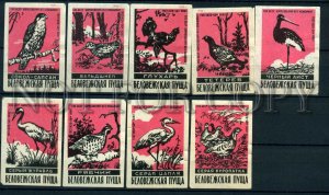 500643 USSR BELARUS birds Bialowieza Forest Old match labels